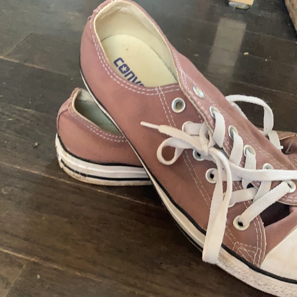 Meet your Posher, Esme - Picture 2 of 2